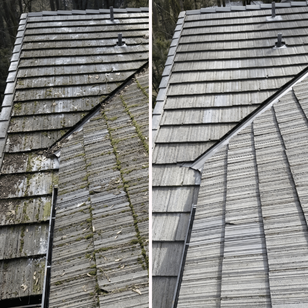 before after tile roof cleaning